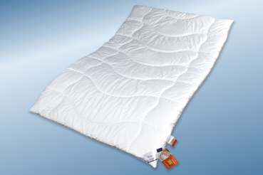 Garanta Thermo Faser Duo Leicht Steppbett V Winter Wonderland