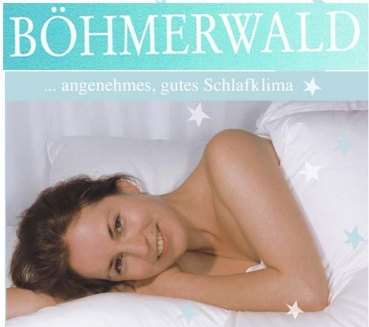 Boehmerwald Logo