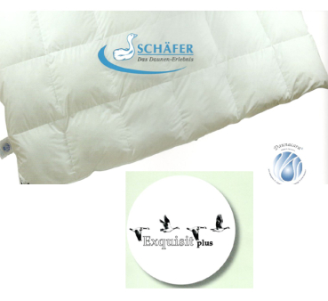 Schäfer Decke Exquisit Plus Kassettenstegbett Luna
