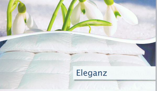 Schäfer Eleganz Logo