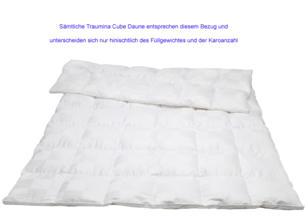 Traumina Cube Daune Kassettendecke WK 4