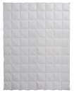 Centa Star Decke Golf von Alaska Logo